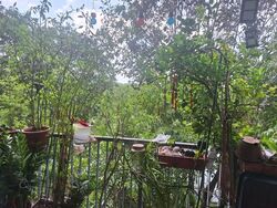 Kingsford Waterbay (D19), Apartment #551199791